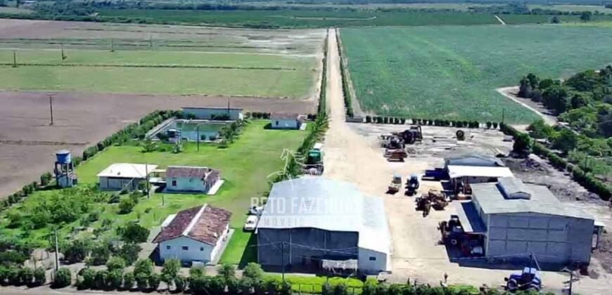 Fazenda de Café à Venda 800 Hectares Estrutura Completa | Sul da Bahia/BA