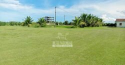 Fazenda de Café à Venda 800 Hectares Estrutura Completa | Sul da Bahia/BA