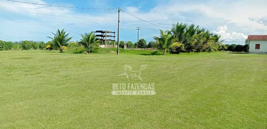 Fazenda de Café à Venda 800 Hectares Estrutura Completa | Sul da Bahia/BA