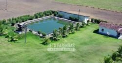 Fazenda de Café à Venda 800 Hectares Estrutura Completa | Sul da Bahia/BA