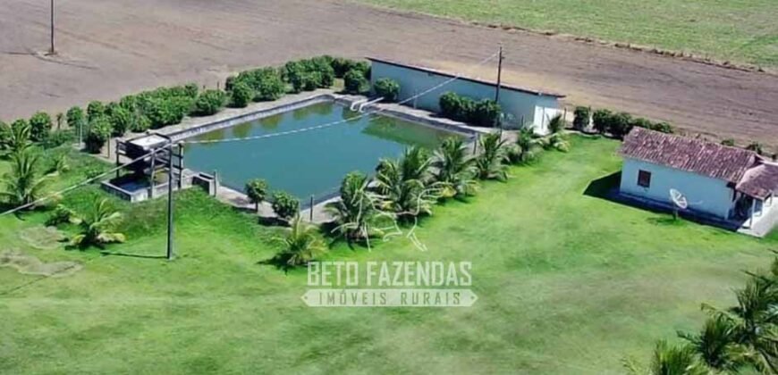Fazenda de Café à Venda 800 Hectares Estrutura Completa | Sul da Bahia/BA
