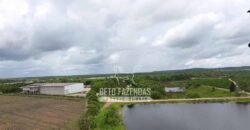 Fazenda de Café à Venda 800 Hectares Estrutura Completa | Sul da Bahia/BA