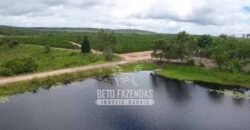 Fazenda de Café à Venda 800 Hectares Estrutura Completa | Sul da Bahia/BA