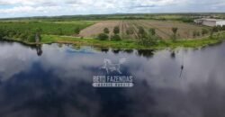 Fazenda de Café à Venda 800 Hectares Estrutura Completa | Sul da Bahia/BA