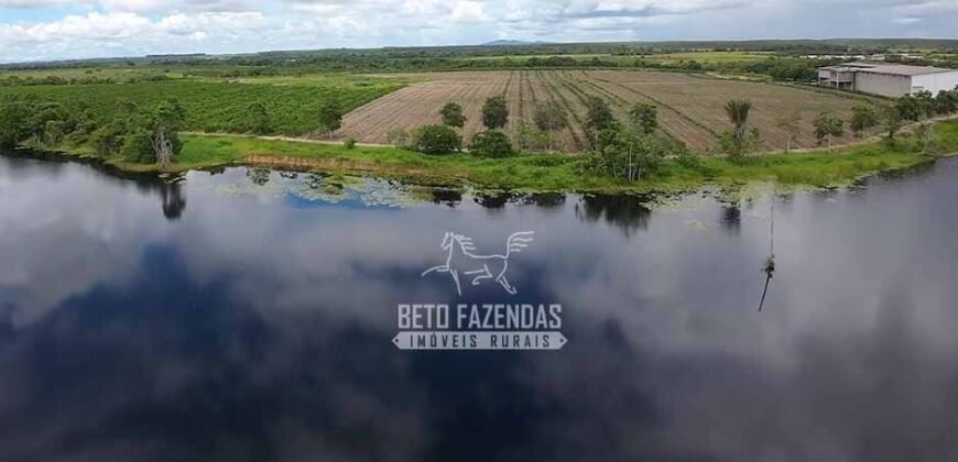 Fazenda de Café à Venda 800 Hectares Estrutura Completa | Sul da Bahia/BA