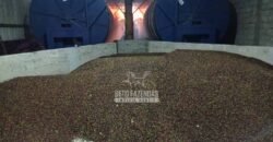 Fazenda de Café à Venda 800 Hectares Estrutura Completa | Sul da Bahia/BA