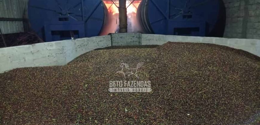 Fazenda de Café à Venda 800 Hectares Estrutura Completa | Sul da Bahia/BA