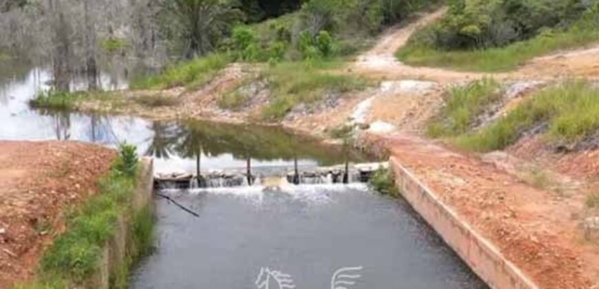 Fazenda de Café à Venda 800 Hectares Estrutura Completa | Sul da Bahia/BA