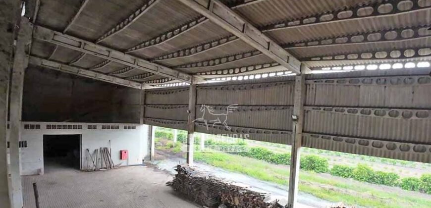 Fazenda de Café à Venda 800 Hectares Estrutura Completa | Sul da Bahia/BA
