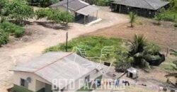 Fazenda de Café à Venda 800 Hectares Estrutura Completa | Sul da Bahia/BA