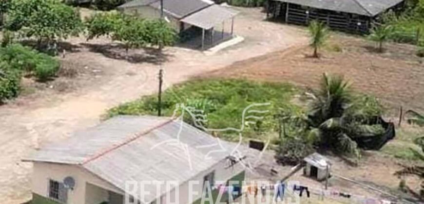 Fazenda de Café à Venda 800 Hectares Estrutura Completa | Sul da Bahia/BA