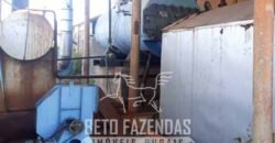 Fazenda de Café 1.298 hectares Parque Industrial Completo | Bonito/ BA