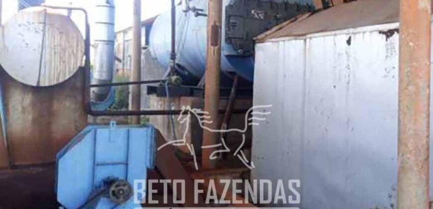 Fazenda de Café 1.298 hectares Parque Industrial Completo | Bonito/ BA