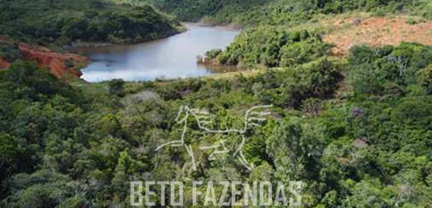 Fazenda de Café 1.298 hectares Parque Industrial Completo | Bonito/ BA
