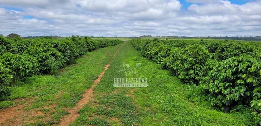 Fazenda de Café 1.298 hectares Parque Industrial Completo | Bonito/ BA