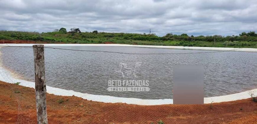 Fazenda à Venda 8.438 hectares Infraestrutura Completa Agropecuária | Lossance/MG