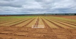 Fazenda à Venda 8.438 hectares Infraestrutura Completa Agropecuária | Lossance/MG