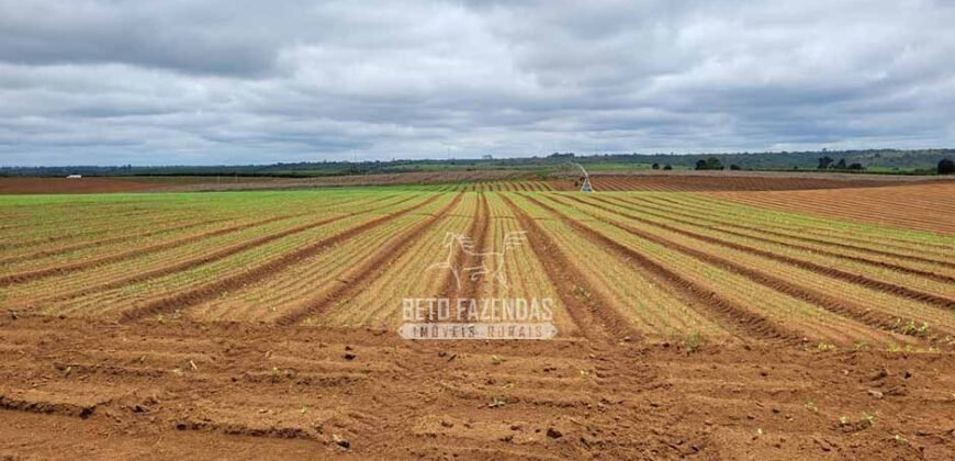 Fazenda à Venda 8.438 hectares Infraestrutura Completa Agropecuária | Lossance/MG