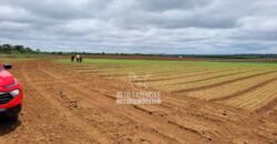 Fazenda à Venda 8.438 hectares Infraestrutura Completa Agropecuária | Lossance/MG