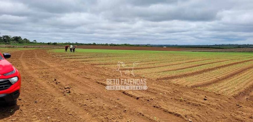 Fazenda à Venda 8.438 hectares Infraestrutura Completa Agropecuária | Lossance/MG