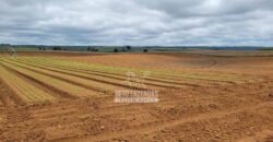 Fazenda à Venda 8.438 hectares Infraestrutura Completa Agropecuária | Lossance/MG