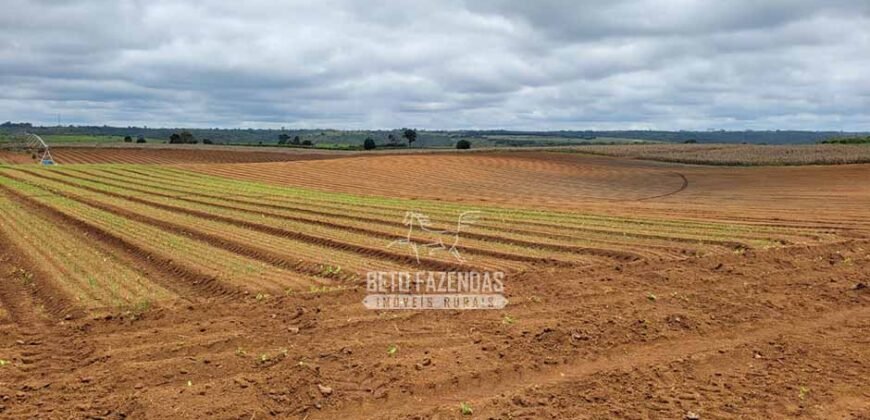 Fazenda à Venda 8.438 hectares Infraestrutura Completa Agropecuária | Lossance/MG