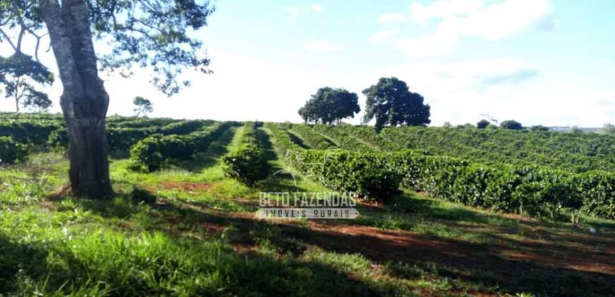 Fazenda à Venda 8.438 hectares Infraestrutura Completa Agropecuária | Lossance/MG