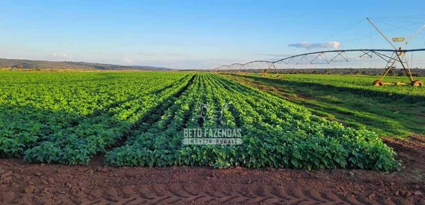 Fazenda à Venda 8.438 hectares Infraestrutura Completa Agropecuária | Lossance/MG