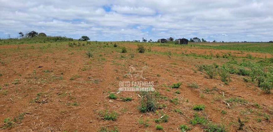 Fazenda à Venda 8.438 hectares Infraestrutura Completa Agropecuária | Lossance/MG