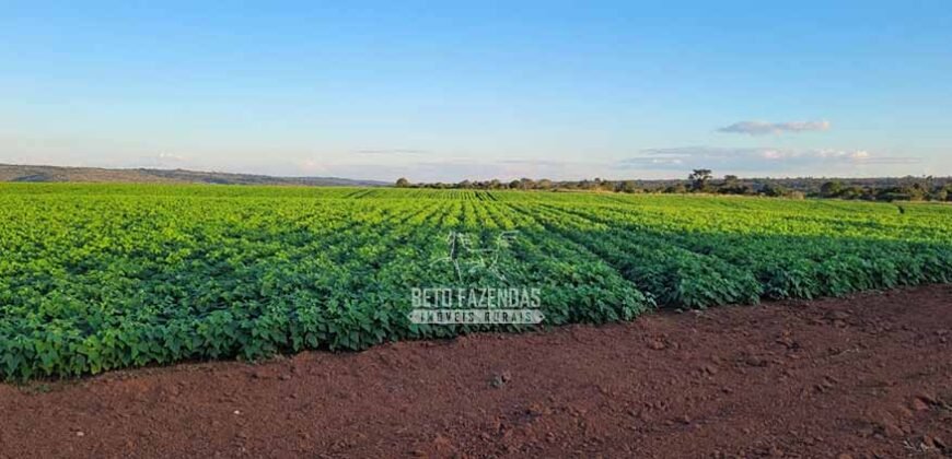 Fazenda à Venda 8.438 hectares Infraestrutura Completa Agropecuária | Lossance/MG