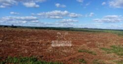 Fazenda à Venda 8.438 hectares Infraestrutura Completa Agropecuária | Lossance/MG