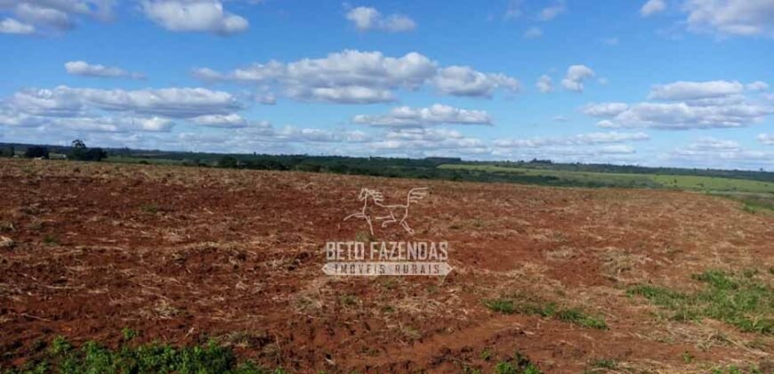 Fazenda à Venda 8.438 hectares Infraestrutura Completa Agropecuária | Lossance/MG