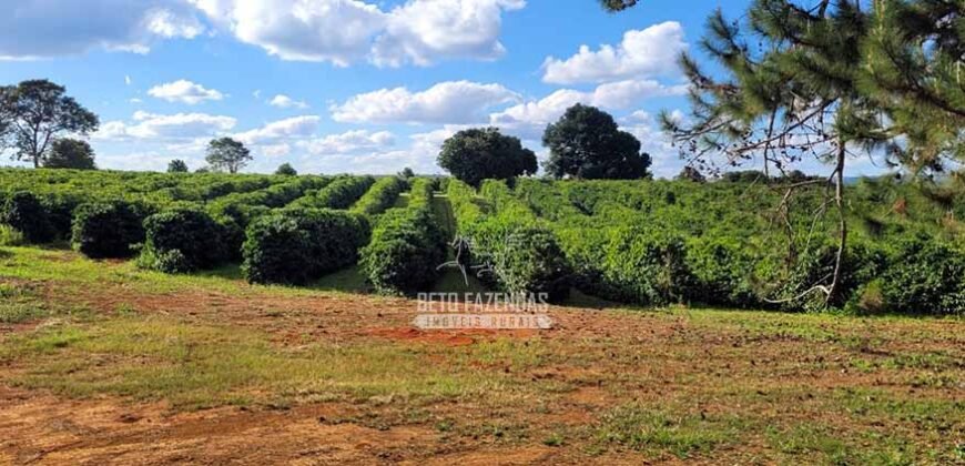 Fazenda à Venda 8.438 hectares Infraestrutura Completa Agropecuária | Lossance/MG