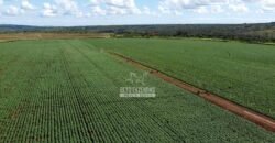 Fazenda à Venda 8.438 hectares Infraestrutura Completa Agropecuária | Lossance/MG