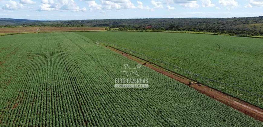 Fazenda à Venda 8.438 hectares Infraestrutura Completa Agropecuária | Lossance/MG