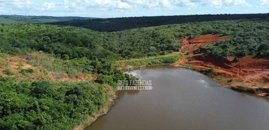 Fazenda à Venda 8.438 hectares Infraestrutura Completa Agropecuária | Lossance/MG