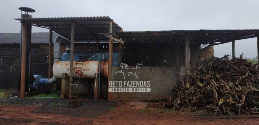 Fazenda à Venda 8.438 hectares Infraestrutura Completa Agropecuária | Lossance/MG