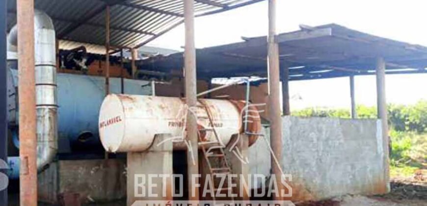 Fazenda de Café 1.298 hectares Parque Industrial Completo | Bonito/ BA
