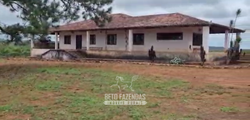Fazenda à Venda 8.438 hectares Infraestrutura Completa Agropecuária | Lossance/MG