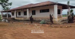 Fazenda à Venda 8.438 hectares Infraestrutura Completa Agropecuária | Lossance/MG