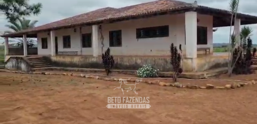 Fazenda à Venda 8.438 hectares Infraestrutura Completa Agropecuária | Lossance/MG