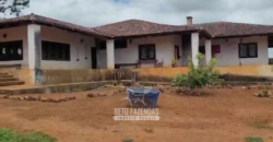 Fazenda à Venda 8.438 hectares Infraestrutura Completa Agropecuária | Lossance/MG