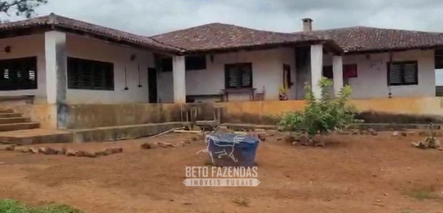 Fazenda à Venda 8.438 hectares Infraestrutura Completa Agropecuária | Lossance/MG