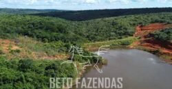 Fazenda de Café 1.298 hectares Parque Industrial Completo | Bonito/ BA