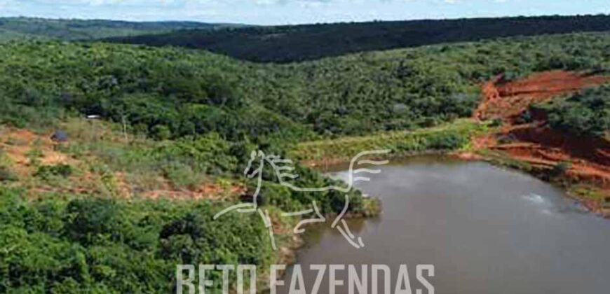 Fazenda de Café 1.298 hectares Parque Industrial Completo | Bonito/ BA