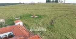 Fazenda à Venda de 117 Alqueires para Pecuária de Alta Performance | Presidente Alves/SP