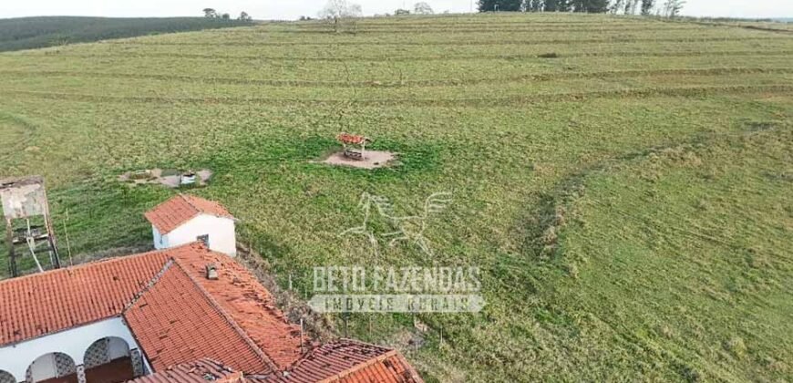 Fazenda à Venda de 117 Alqueires para Pecuária de Alta Performance | Presidente Alves/SP