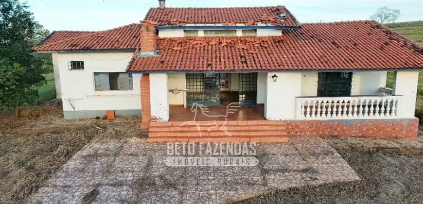 Fazenda à Venda de 117 Alqueires para Pecuária de Alta Performance | Presidente Alves/SP