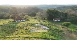 Fazenda à Venda de 117 Alqueires para Pecuária de Alta Performance | Presidente Alves/SP