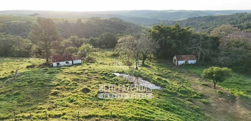 Fazenda à Venda de 117 Alqueires para Pecuária de Alta Performance | Presidente Alves/SP